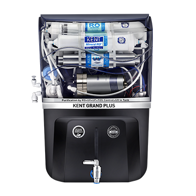 KENT Grand Plus-B